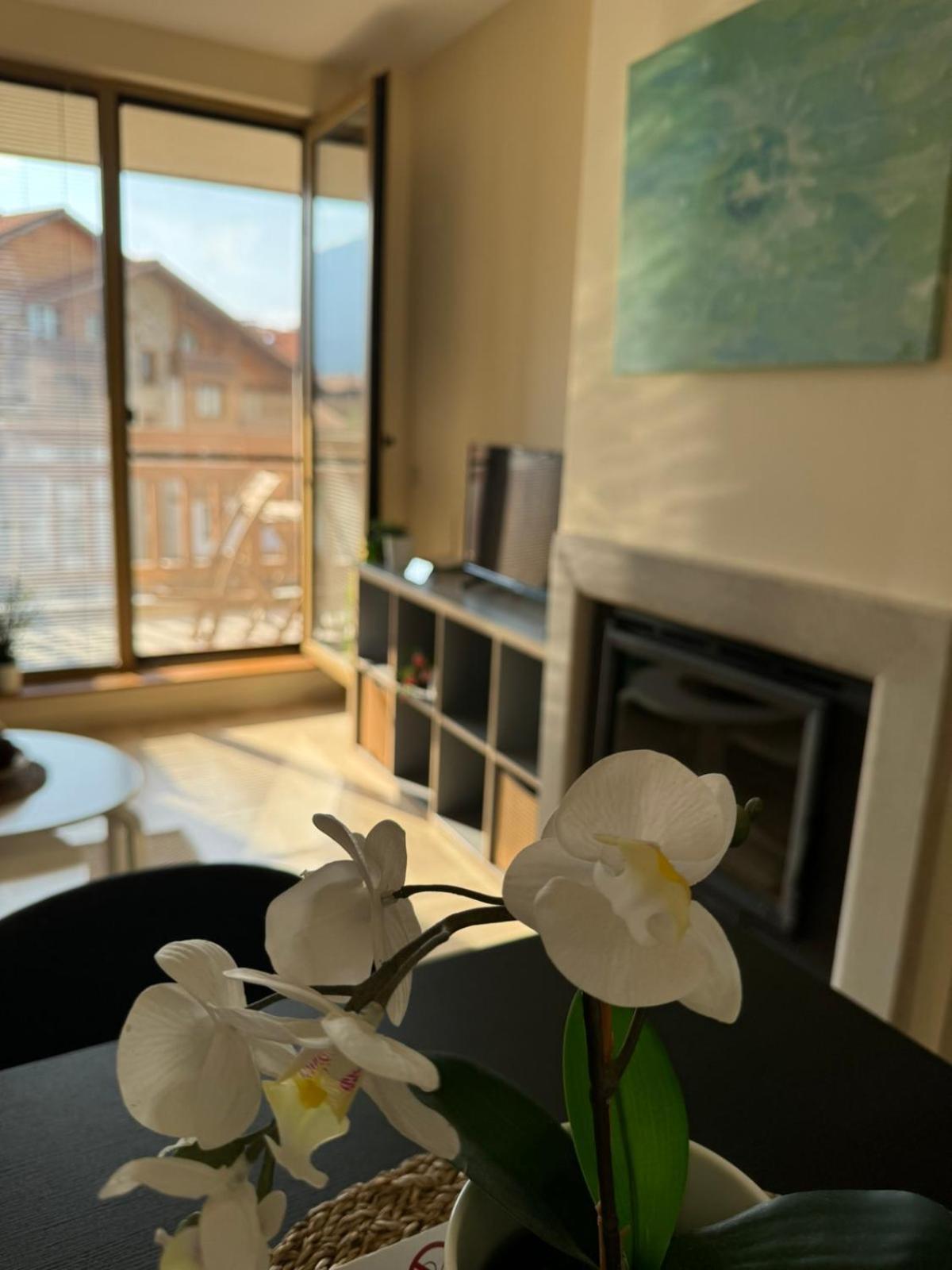 Emerald Buddha Apartment Bansko Eksteriør bilde